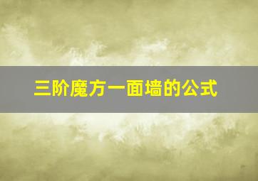 三阶魔方一面墙的公式