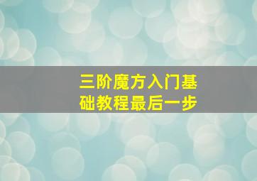 三阶魔方入门基础教程最后一步