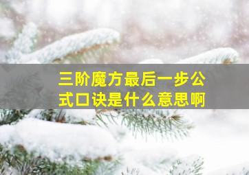 三阶魔方最后一步公式口诀是什么意思啊