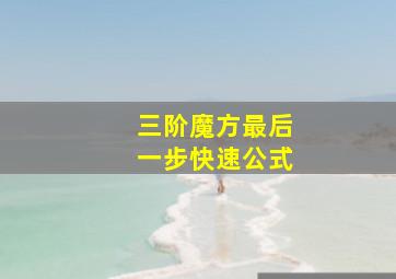 三阶魔方最后一步快速公式