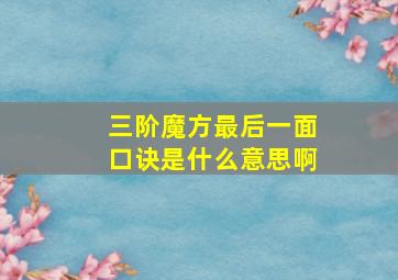 三阶魔方最后一面口诀是什么意思啊