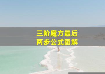 三阶魔方最后两步公式图解