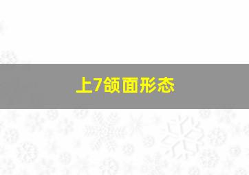 上7颌面形态