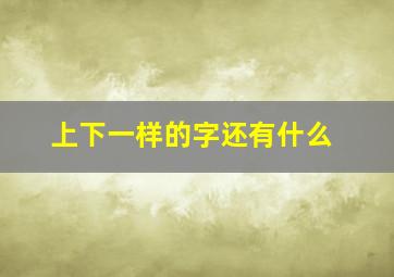 上下一样的字还有什么