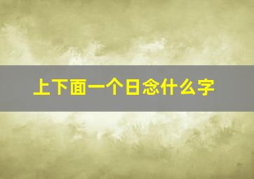 上下面一个日念什么字