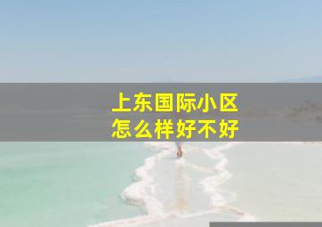 上东国际小区怎么样好不好