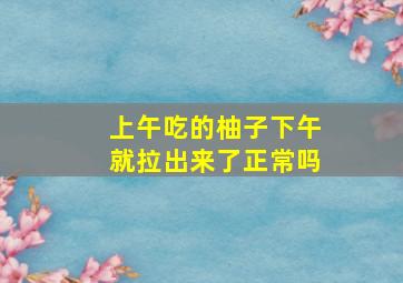 上午吃的柚子下午就拉出来了正常吗