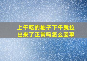 上午吃的柚子下午就拉出来了正常吗怎么回事