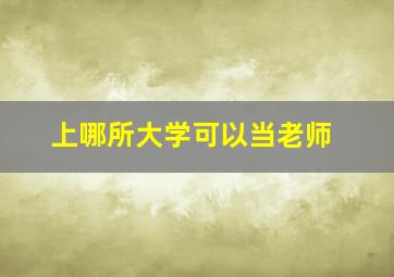 上哪所大学可以当老师