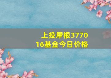 上投摩根377016基金今日价格