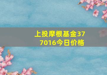 上投摩根基金377016今日价格