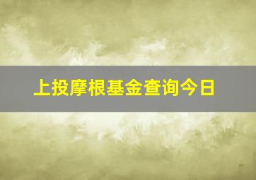 上投摩根基金查询今日