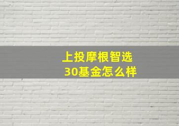 上投摩根智选30基金怎么样