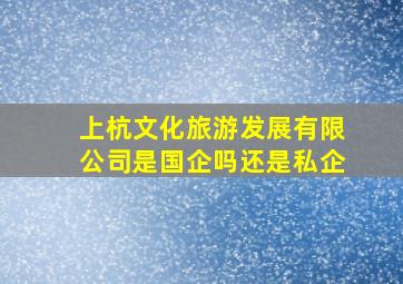 上杭文化旅游发展有限公司是国企吗还是私企