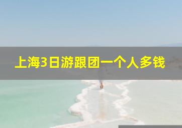 上海3日游跟团一个人多钱