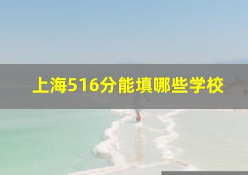 上海516分能填哪些学校