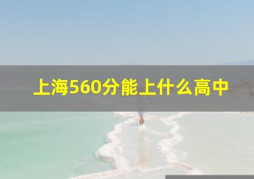 上海560分能上什么高中