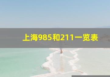 上海985和211一览表