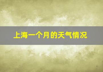 上海一个月的天气情况