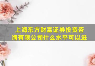 上海东方财富证券投资咨询有限公司什么水平可以进