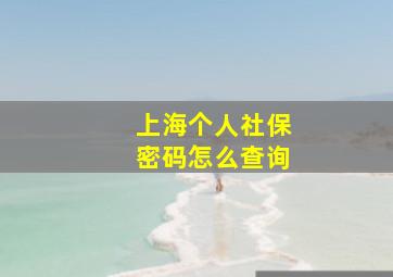 上海个人社保密码怎么查询