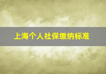 上海个人社保缴纳标准