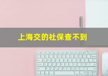 上海交的社保查不到