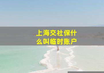 上海交社保什么叫临时账户