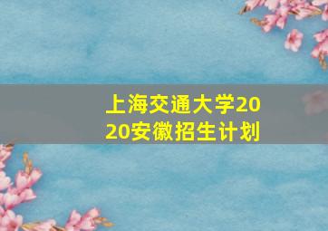 上海交通大学2020安徽招生计划