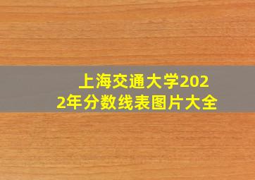 上海交通大学2022年分数线表图片大全