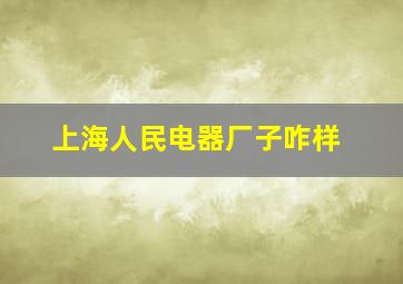 上海人民电器厂子咋样