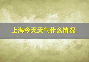 上海今天天气什么情况