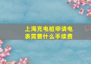 上海充电桩申请电表需要什么手续费