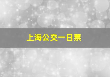 上海公交一日票