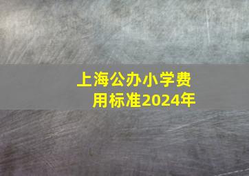 上海公办小学费用标准2024年