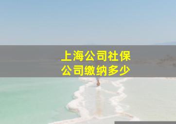 上海公司社保公司缴纳多少