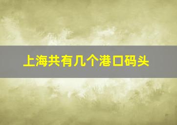 上海共有几个港口码头