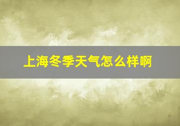 上海冬季天气怎么样啊