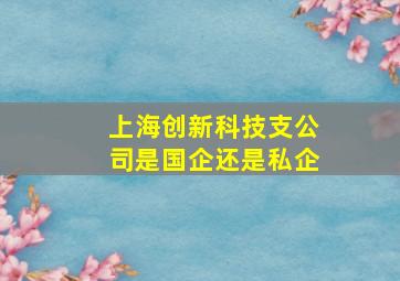 上海创新科技支公司是国企还是私企