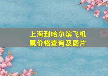 上海到哈尔滨飞机票价格查询及图片