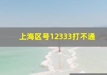 上海区号12333打不通