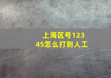 上海区号12345怎么打到人工