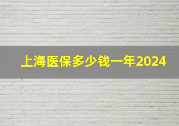 上海医保多少钱一年2024