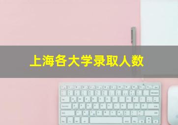 上海各大学录取人数