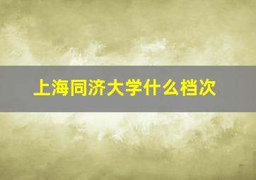 上海同济大学什么档次