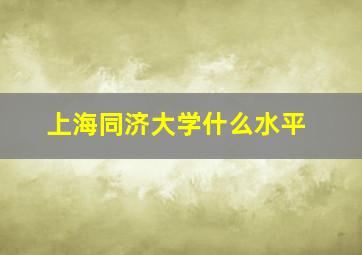 上海同济大学什么水平