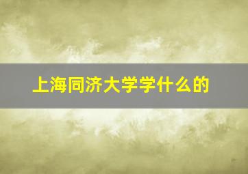 上海同济大学学什么的