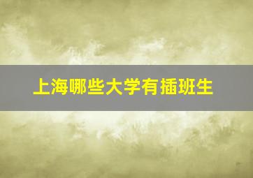 上海哪些大学有插班生