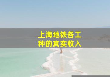 上海地铁各工种的真实收入