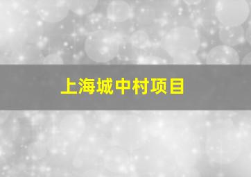 上海城中村项目